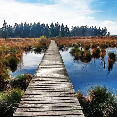 Zusammenzeit In - Inklusive Garage, Grosser Terrasse Und 3 Schlafzimmer - Ideal Fuer Familien Und Freunde - Hunde Freundlich * שליידן
