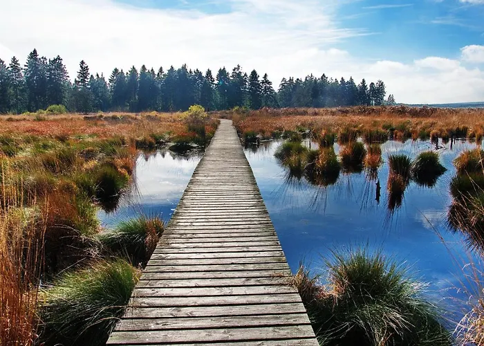 Zusammenzeit In - Inklusive Garage, Grosser Terrasse Und 3 Schlafzimmer - Ideal Fuer Familien Und Freunde - Hunde Freundlich * Schleiden